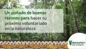 voluntariado en la naturaleza